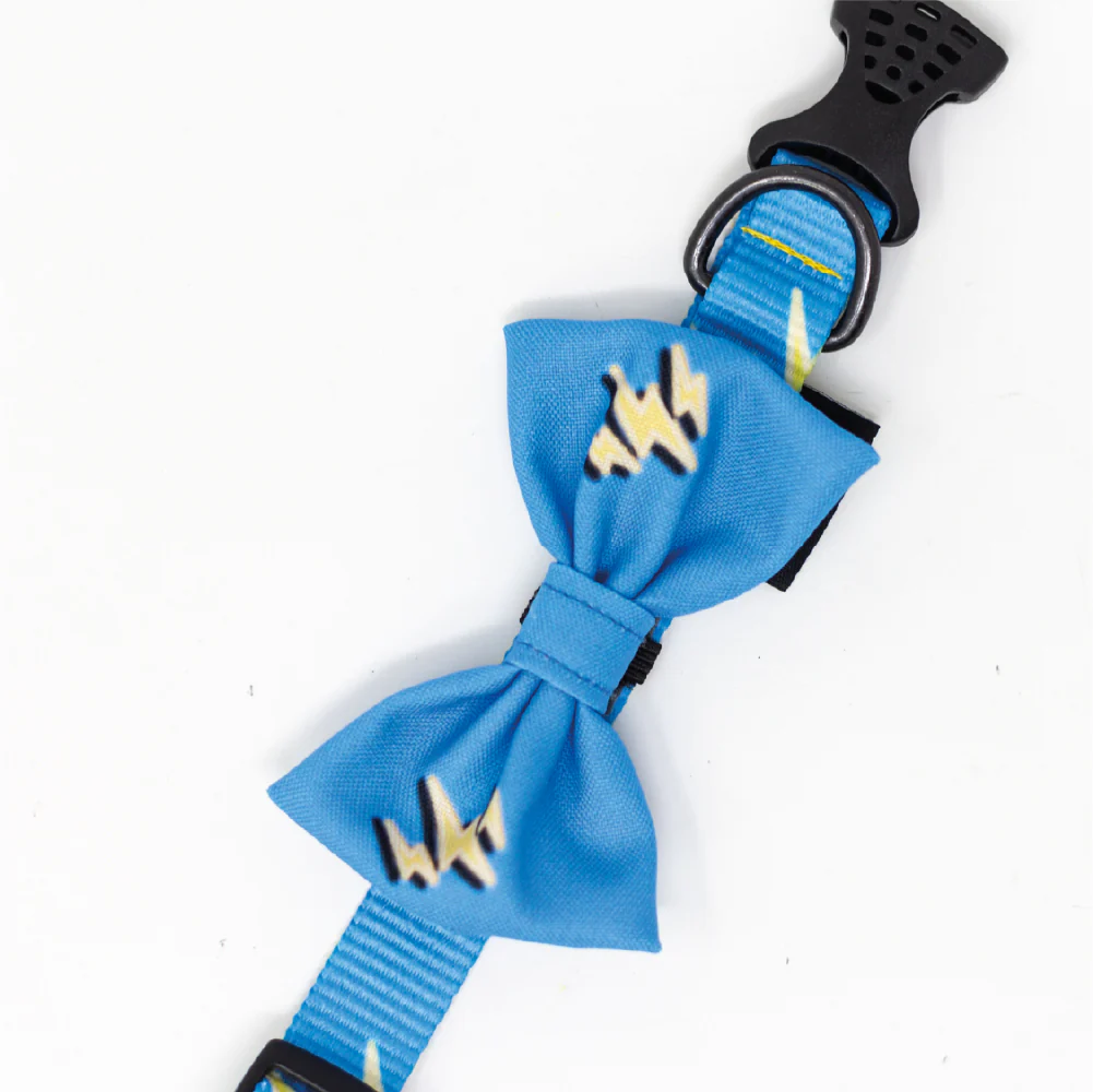 Collar con moño azul