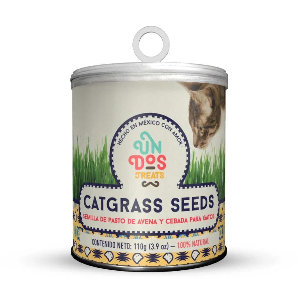 Cat grass semillas de avena y cebada para gatos
