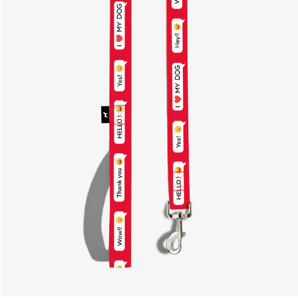 Correa reforzada 120 cm